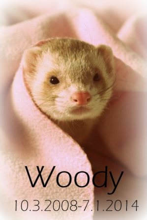woody5.jpg